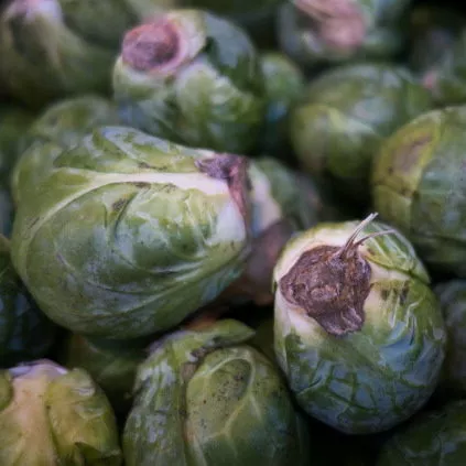 US-FOOD-BRUSSEL SPROUTS