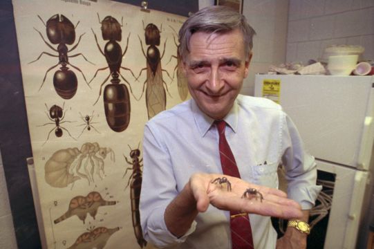 Pioneering Biologist Edward O Wilson Who Redefined Human Behaviour Dies At 92