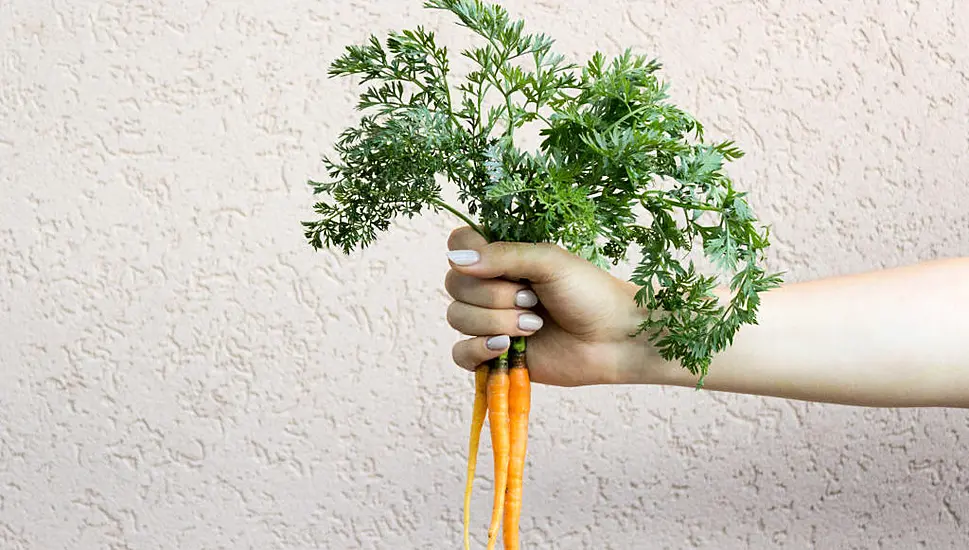 Ghost Kitchens, Potato Milk And Beanless Coffee: Food Trends To Look Out For In 2022