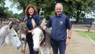 Donkey Charity ‘Bursting At The Seams’ As Number In Need Of Rescue Grows