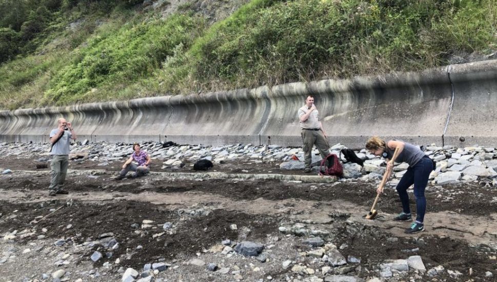 Footprints Of Early Dinosaur Discovered On Welsh Beach