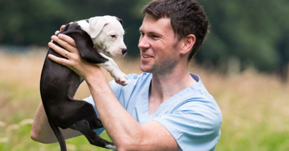 Irish society needs to 'look in the mirror' over attitude to pets, says vet