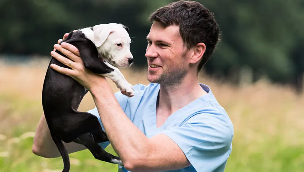 Irish Society Needs To 'Look In The Mirror' Over Attitude To Pets, Says Vet