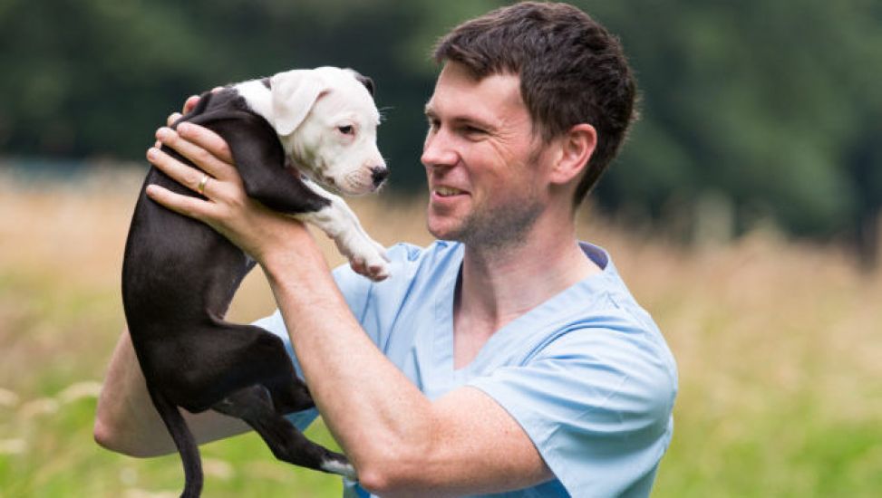 Irish Society Needs To 'Look In The Mirror' Over Attitude To Pets, Says Vet