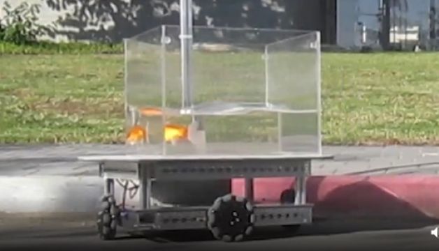 Like A Fish Out Of Water? Israeli Team Trains Goldfish To Drive