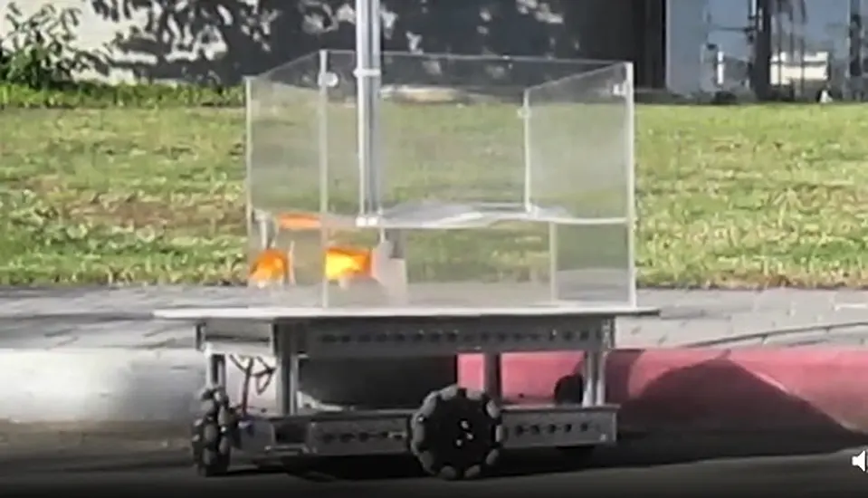 Like A Fish Out Of Water? Israeli Team Trains Goldfish To Drive