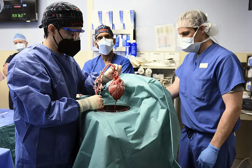 Us Surgeons Transplant Pig Heart Into Human Patient