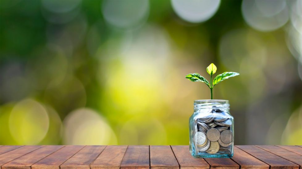 Five Ways To ‘Go Green’ With Your Finances In 2022