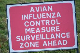 Department Of Agriculture Issues New Regulations Due To Avian Flu
