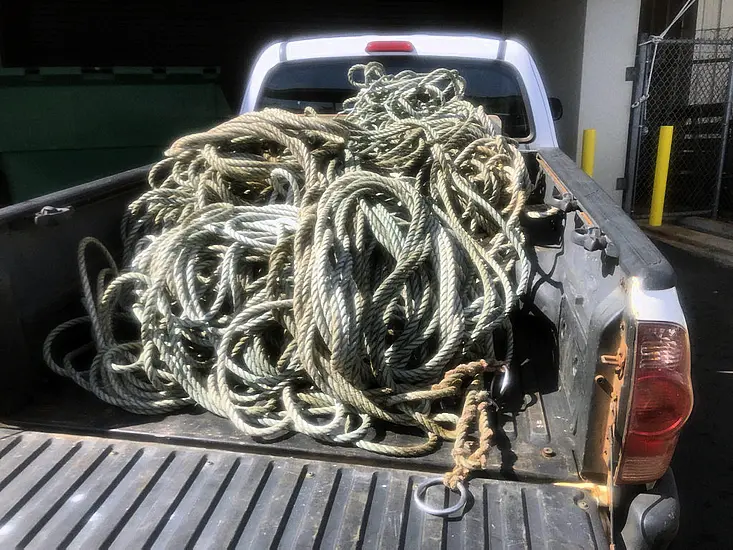 Search On For Humpback Whale Entangled In Debris Off Hawaii