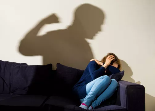 Support For New Agency To Deal With Domestic Violence