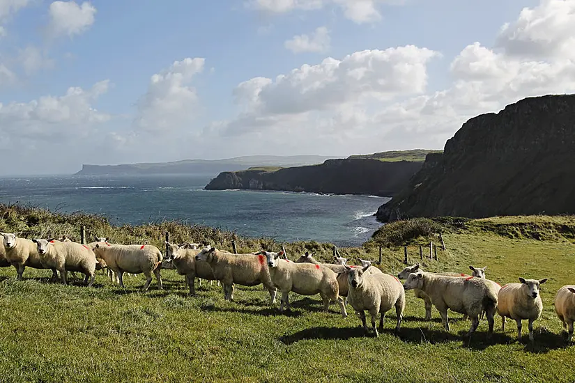 North's Farmers Left In No Man’s Land By Protocol Trade Rules, Mps Told