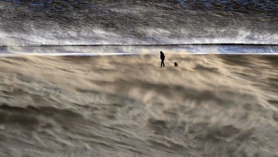 Boy (9) And Woman (60) Killed By Falling Trees As Storm Malik Batters Uk