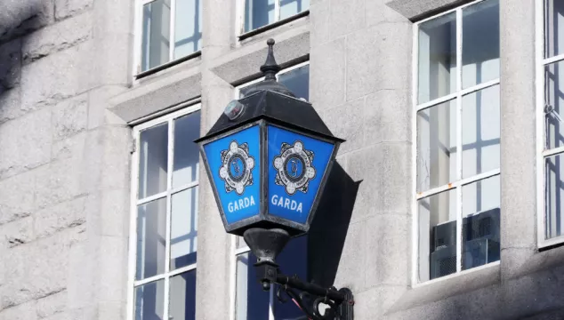 Gardaí Renew Witness Appeal After Dublin Crash
