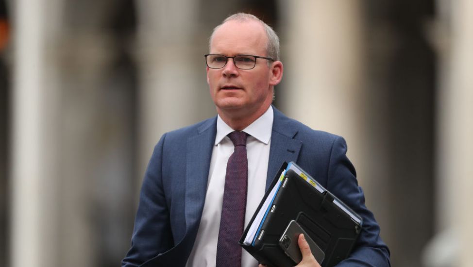 Russian Ambassador To Ireland Will Not Be Expelled, Says Coveney