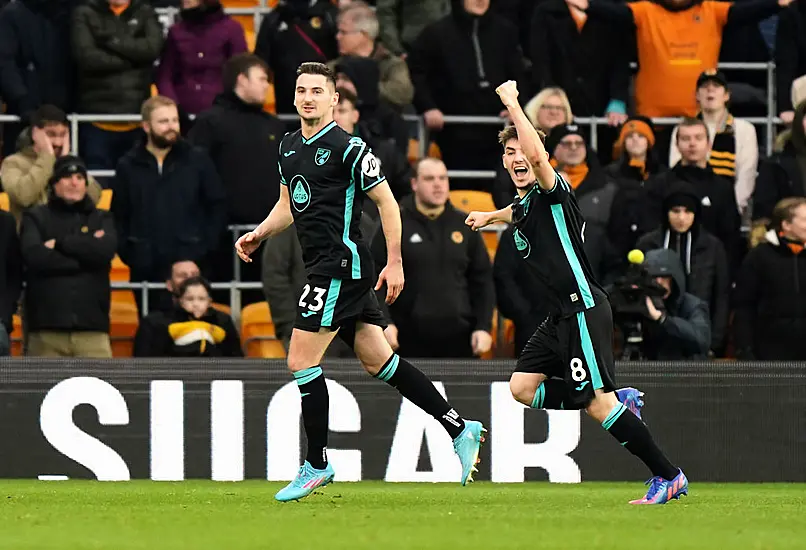 Kenny Mclean Header Enough As Norwich Edge Wolves To Reach Fa Cup Fifth Round