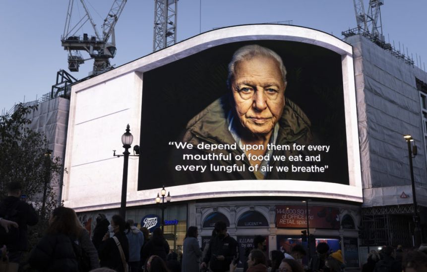 David Attenborough Lights Up Piccadilly Circus With Message About Plant Power