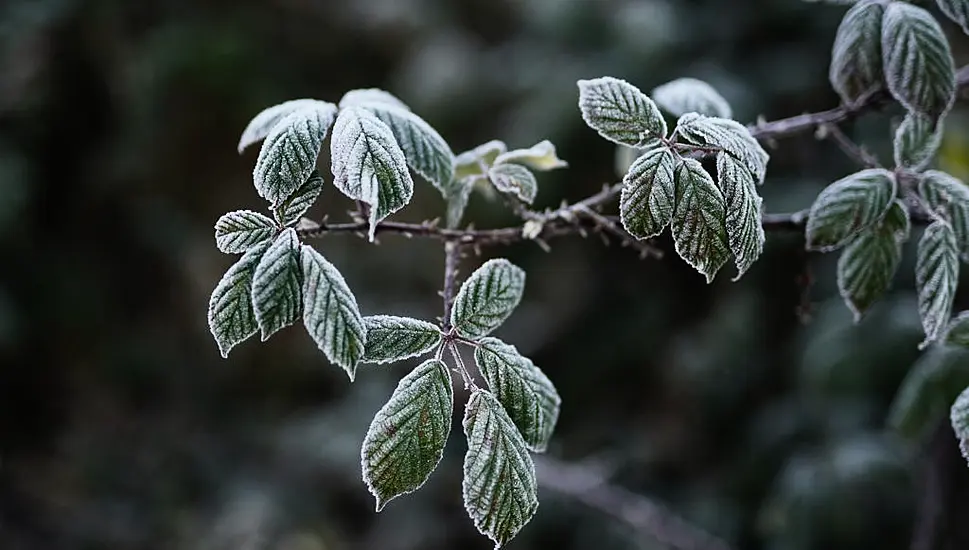 Temperatures To Drop To -4 Degrees Overnight