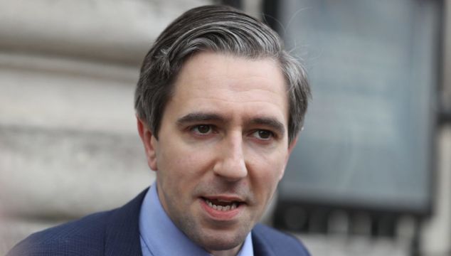Special Education Centres For Autistic Children A Non-Runner, Says Simon Harris
