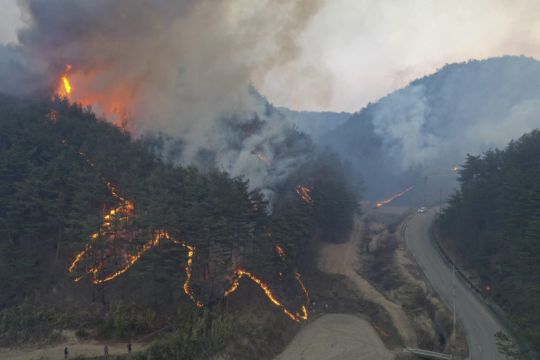 Thousands Flee As South Korean Wildfire Destroys Homes