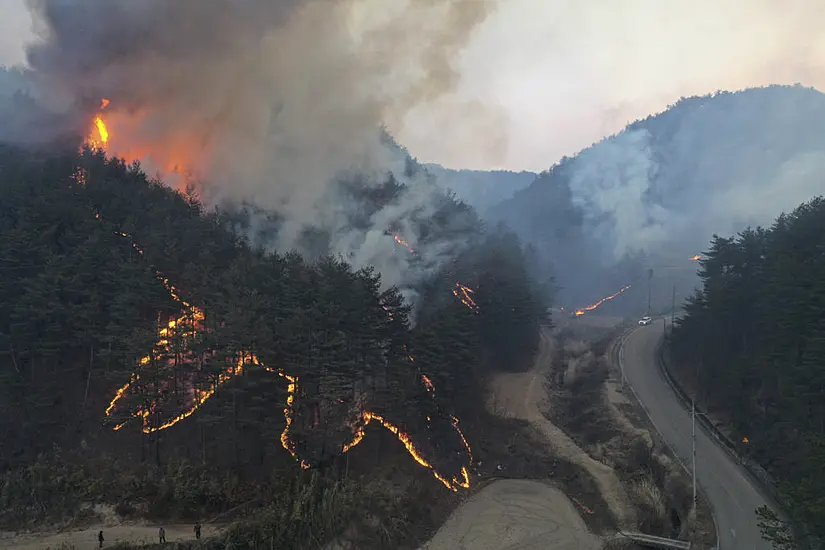 Thousands Flee As South Korean Wildfire Destroys Homes