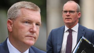 Public Favour Mcgrath And Coveney As Next Ff/Fg Leaders - Poll