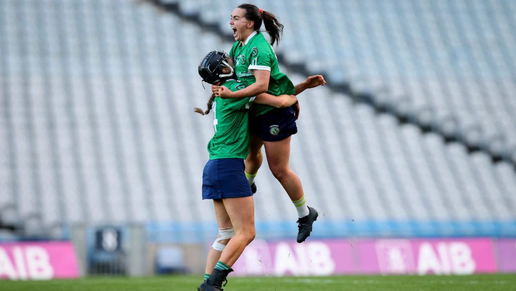 Magic McGrath helps to conjure win for Sarsfields to be crowned champions