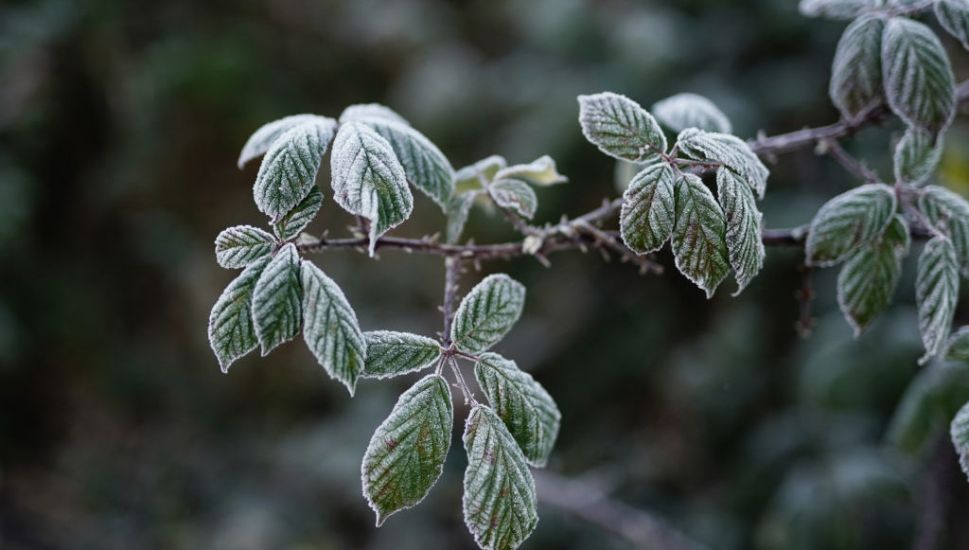 Met Éireann Issues Warning As Arctic Blast To Bring Freezing Conditions Overnight