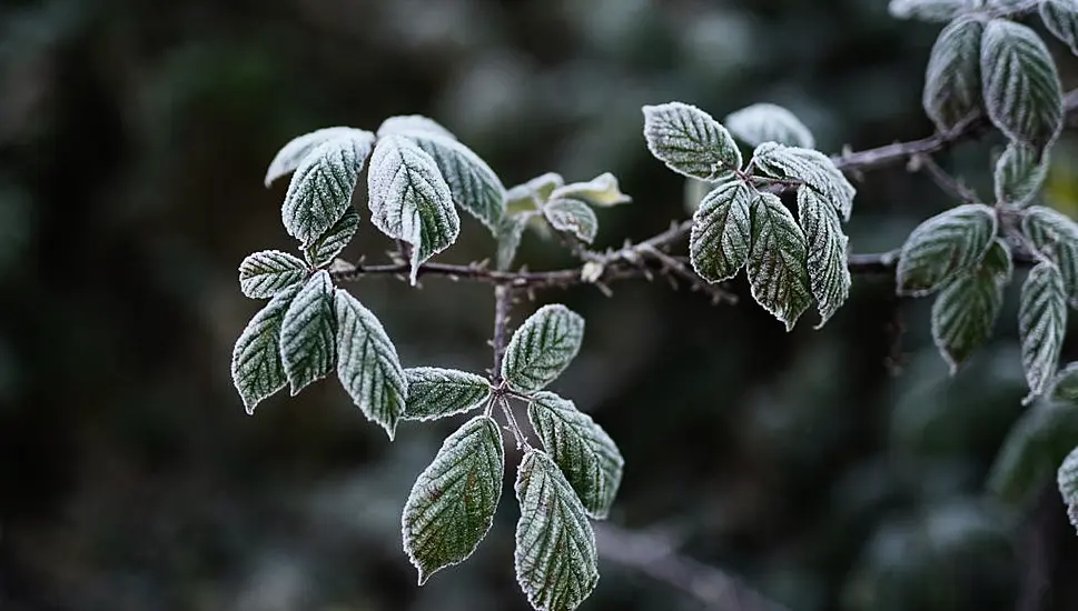 Temperatures To Drop To -2 Degrees In Mini Cold Snap