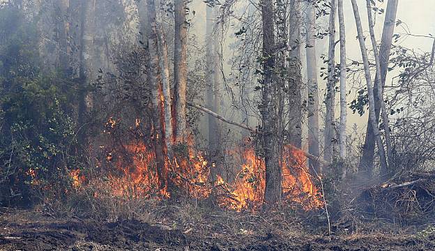 Rainfall Eases Wildfire Threat In Florida But Officials Urge Caution