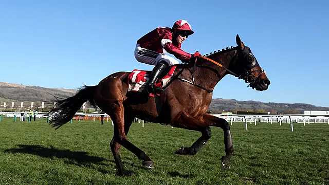 Tiger Roll Hopes To Enjoy Victorious Cheltenham Festival Farewell