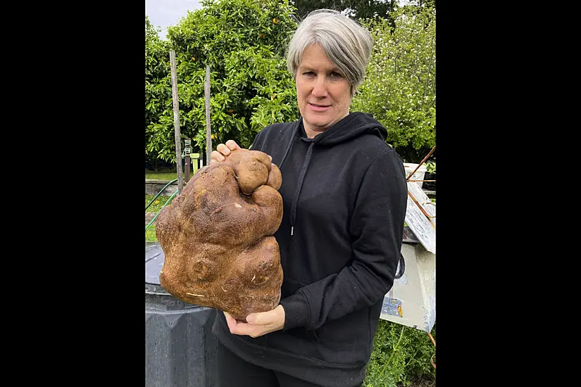 When Is A Potato Not A Potato? New Zealand Couple’s World Record Dream Smashed