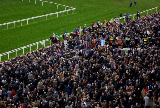 Cheltenham: Bookmakers Celebrating After Big-Priced Festival Winners