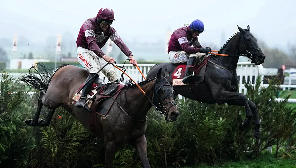 Cheltenham Day Two: Tiger Roll Denied Fairytale Ending, Mullins And Elliott On Flying Form