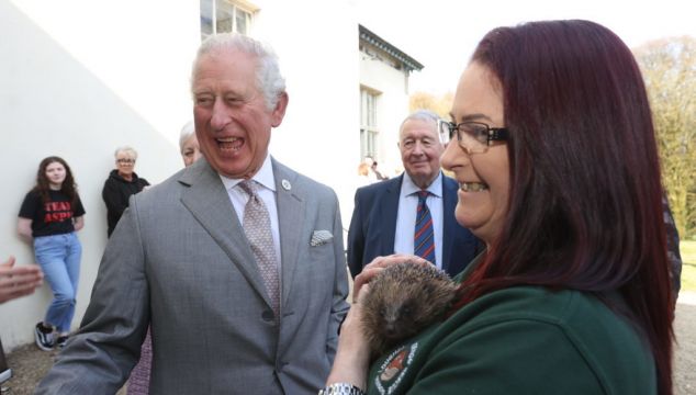 Charles Shows Concern For Prickly Pal On Northern Ireland Visit