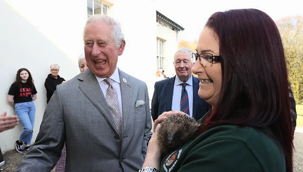 Charles Shows Concern For Prickly Pal On Northern Ireland Visit