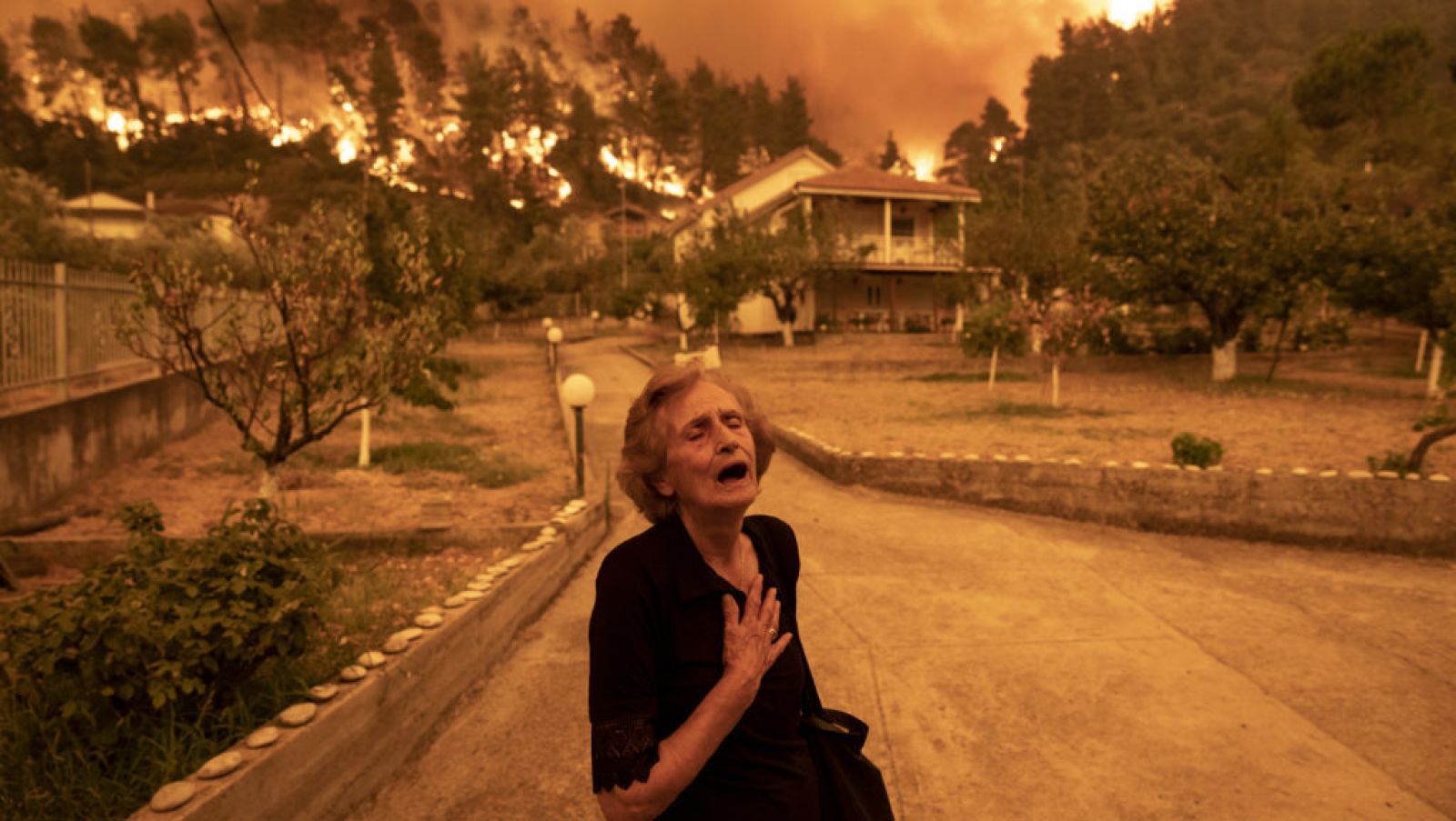 Evia Island Wildfire
Konstantinos Tsakalidis, Greece, For Bloomberg News