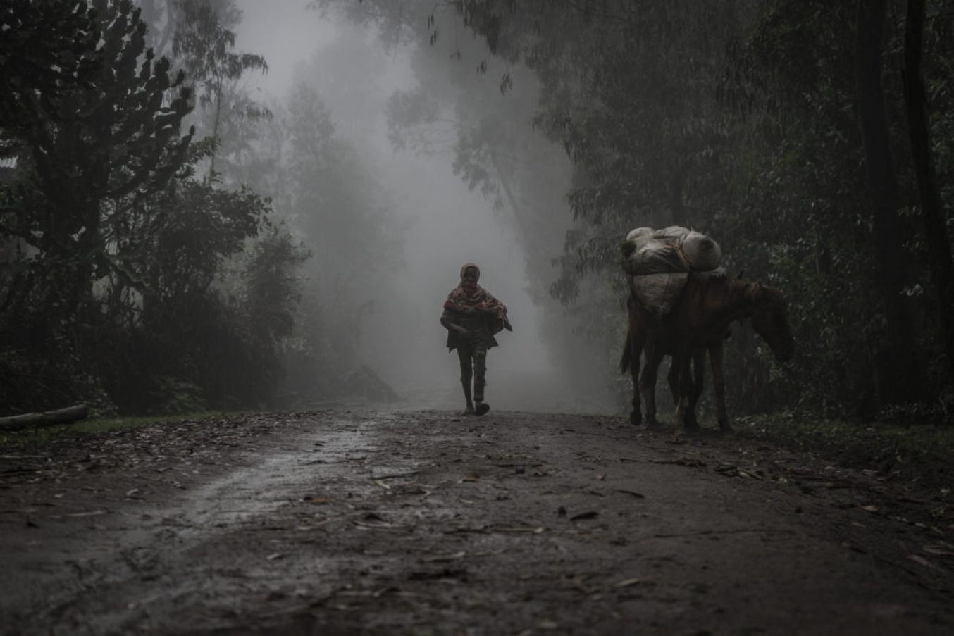 Saving Forests With Fire, Matthew Abbott, Australia, For National Geographic/Panos Pictures