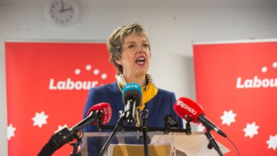 Ivana Bacik&#039;S First Task Is &#039;Ensuring Survival&#039; Of Labour Party