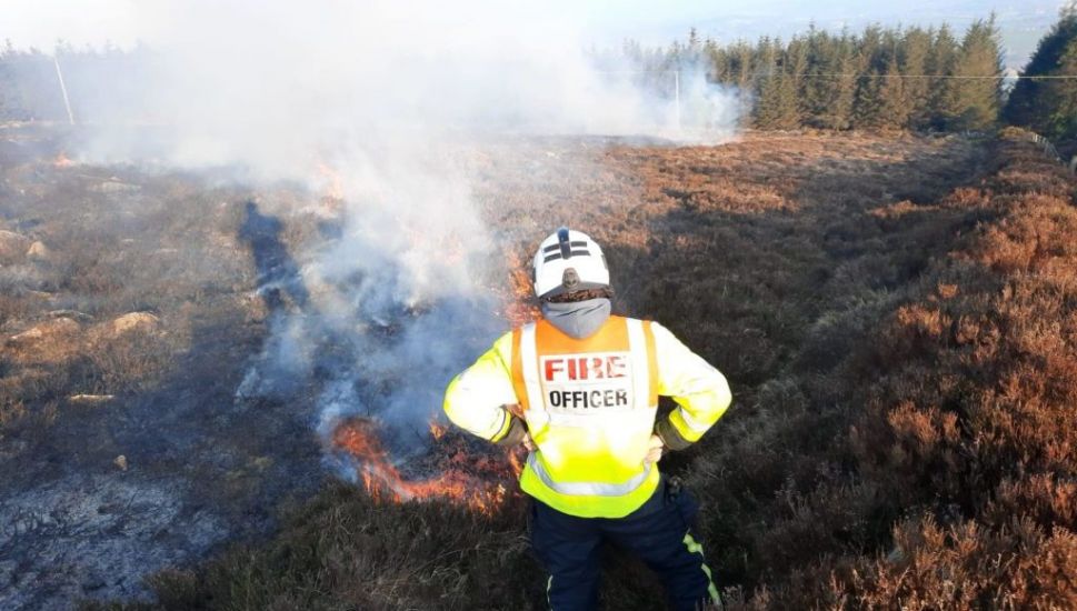 Fire Crews In Southeast Warn Gorse Fires Are Placing Communities At Risk