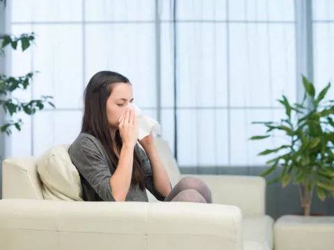 Are You Allergic To Your House? Five Ways To Reduce Allergens In Your Home