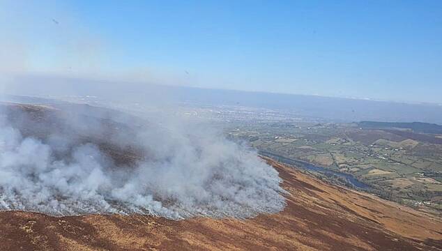 Wicklow Mountains Fire ‘Set Deliberately’ Destroys Over 300 Hectares Of Natural Habitat