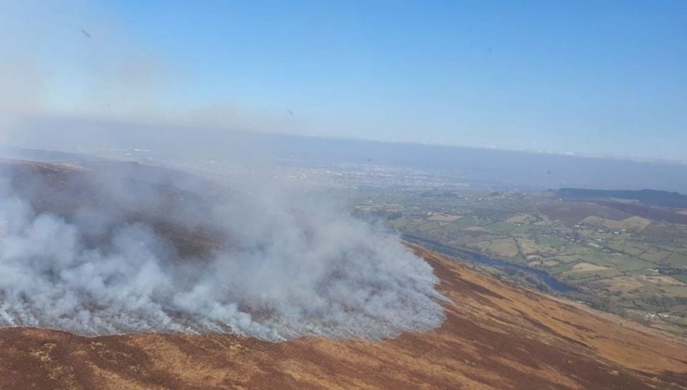 Wicklow Mountains Fire ‘Set Deliberately’ Destroys Over 300 Hectares Of Natural Habitat