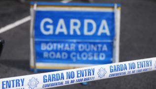 Man (60S) Dies In Single-Vehicle In Co Cork