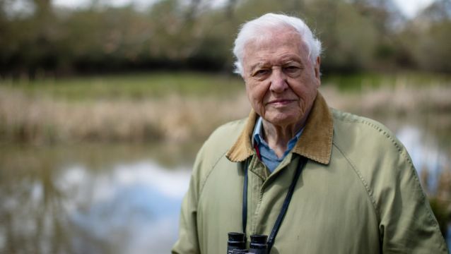 Attenborough To Tell ‘Unheard Story’ Of Prehistoric Planet In Apple Tv+ Series
