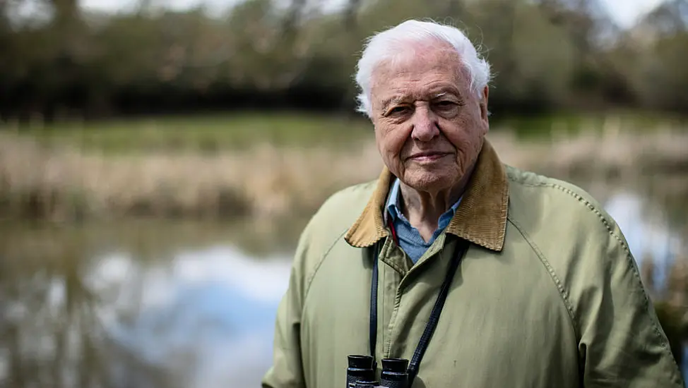 Attenborough To Tell ‘Unheard Story’ Of Prehistoric Planet In Apple Tv+ Series