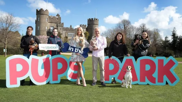 Dspca Announced As Charity Partner For First Pups In The Park Festival