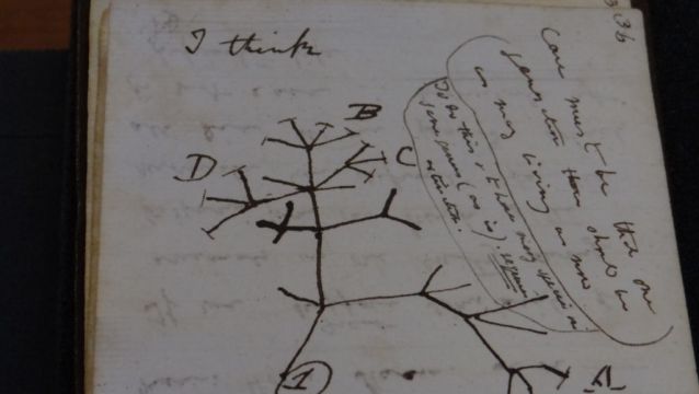 ‘Stolen’ Darwin Manuscripts Anonymously Returned To University Library