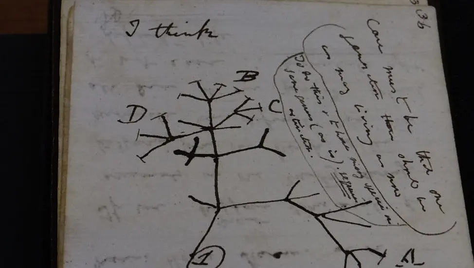 ‘Stolen’ Darwin Manuscripts Anonymously Returned To University Library