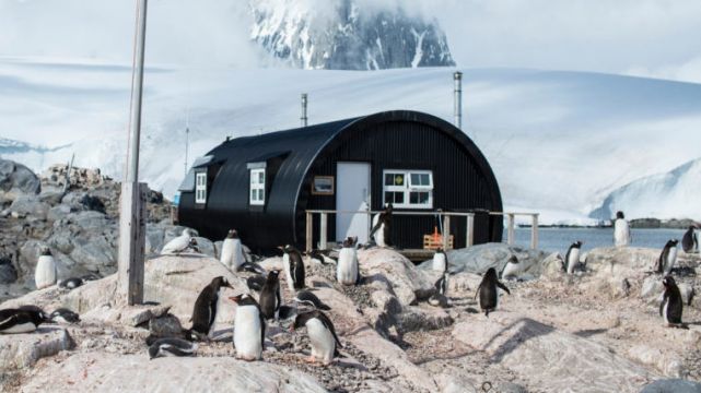 Staff Wanted To Watch Penguins And Run Gift Shop In Antarctica
